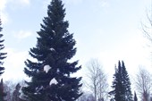 Ажендаровский хребет