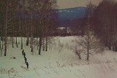 Своей дорогой