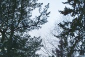 Ажендаровский хребет