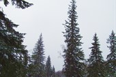 IMG_4060