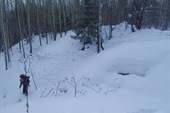 IMG_4143