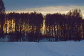 IMG_4219