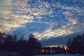 IMG_4221