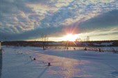 IMG_4225