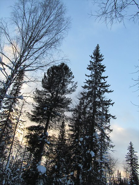 Ажендаровский хребет