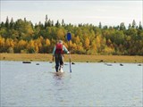 Волк идет за водой