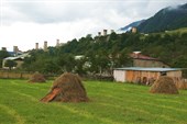 IMG_1962