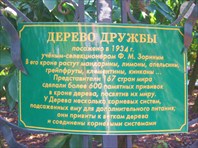 Табличка-Сад-музей "Дерево Дружбы"