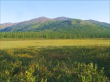 Фото 30. Заболоченная низина на водораздельном плато