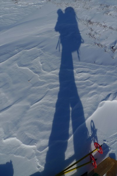 Тень лыжника)