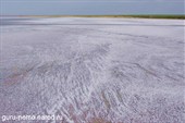 _IGP2344