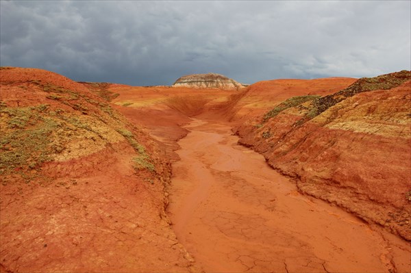 Лучшее фото дня.