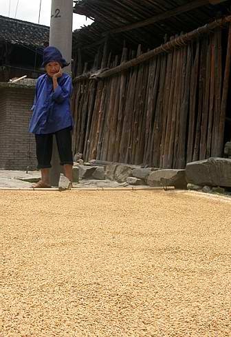 Бабушка и рис