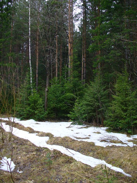 Снег в жарком мае