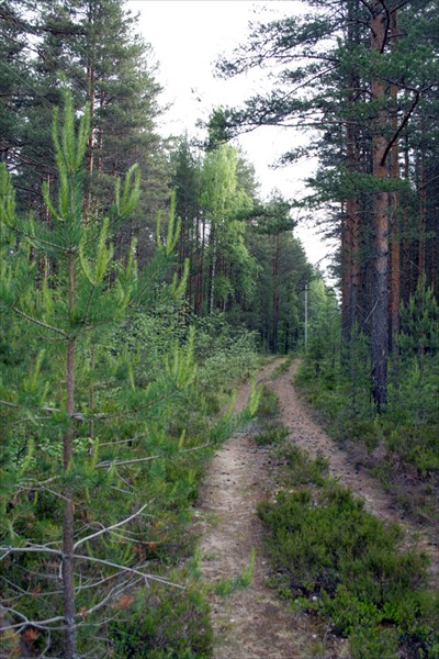 Карельский пейзаж