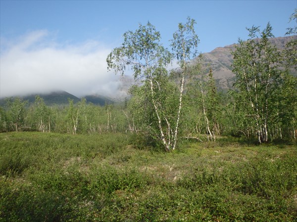 P7250401