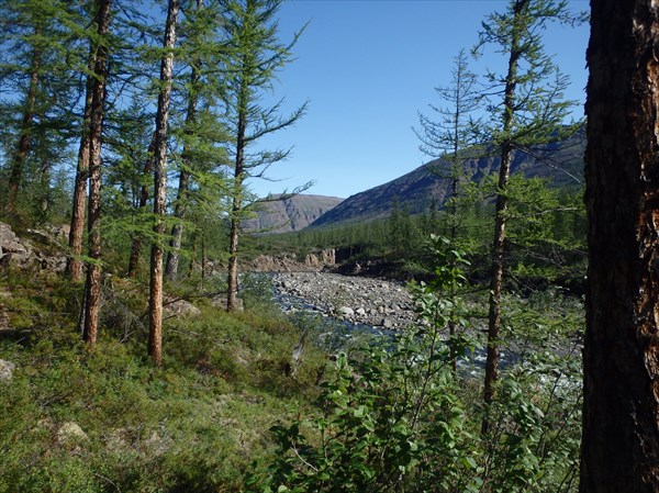 P7260429
