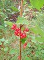 P8060917