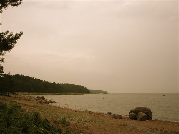 Финский залив район Зеленогорска