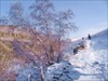 на фото: Горы зимой кавказ