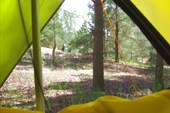 Вид из окошка моей палатки