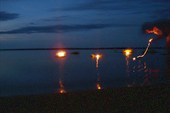 Веночки на воде
