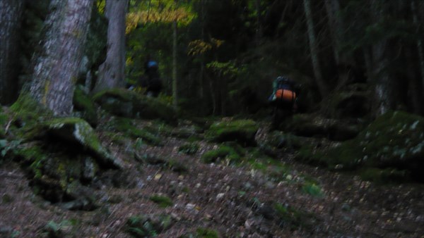 Начало тропы