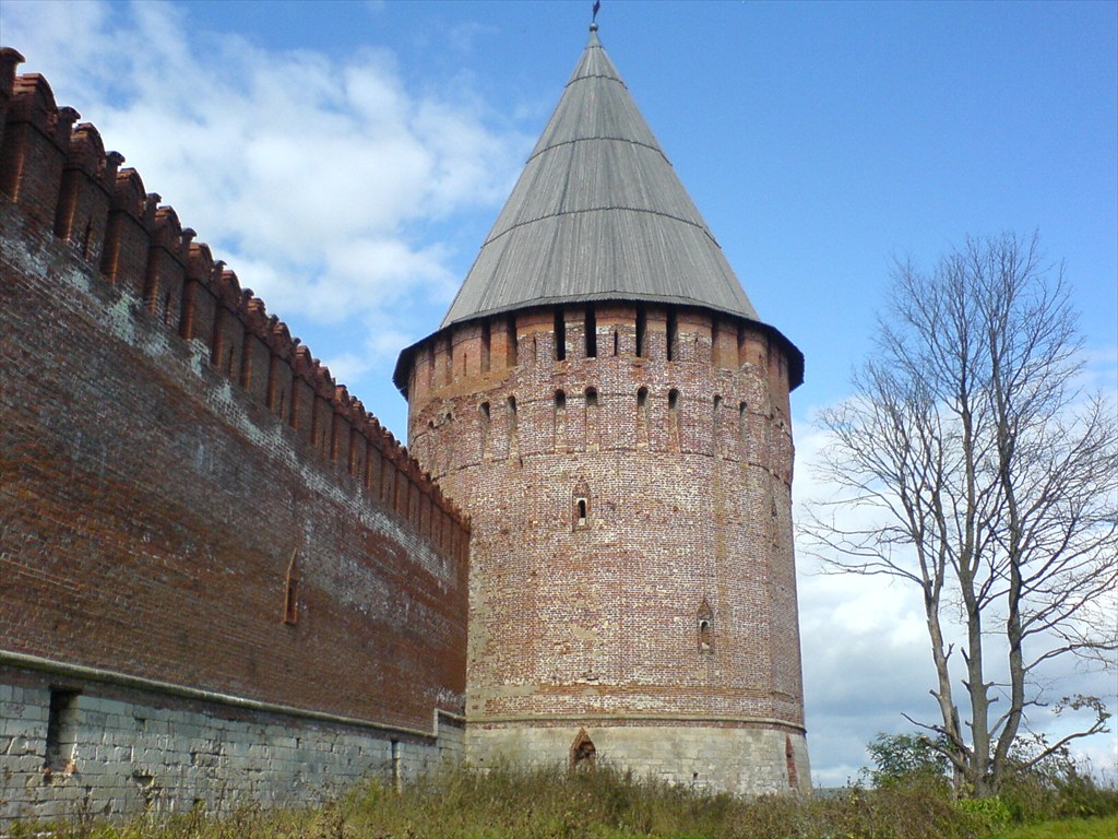 Смоленская крепость история