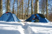 IMG_3250