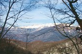 IMG_3270