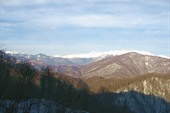 IMG_3286