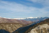 IMG_3287