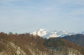 IMG_3289