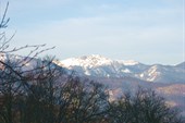 IMG_3291