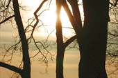 IMG_3300