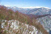 IMG_3327