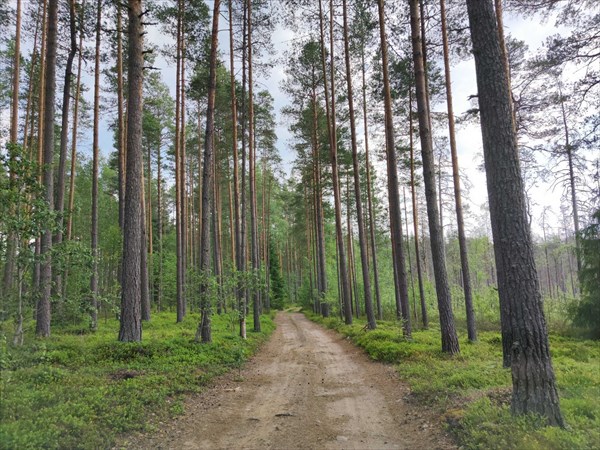 В районе оз. Бол. Градуевского