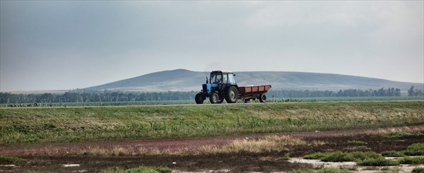 на фото: Пейзаж Таманского полуострова