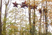 Памятник `Кремлёвские звёзды`