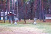 Заброшенный пионерский лагерь