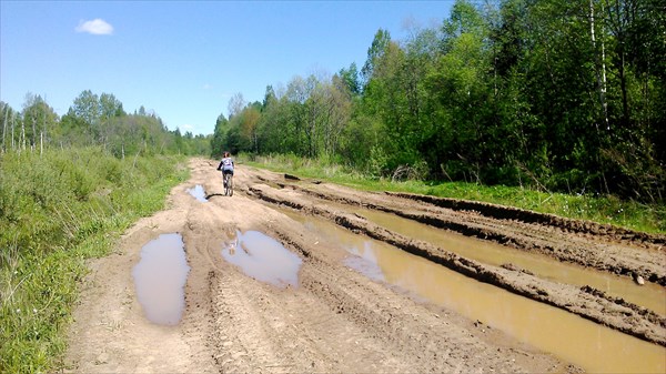 Дорога к Оскую. Бывшая насыпь ж.д.