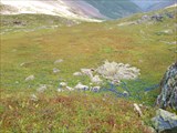 DSC00325