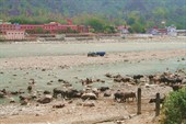 IMG_0165_resize
