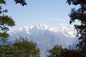 окно в лесу с видом на Гималаи