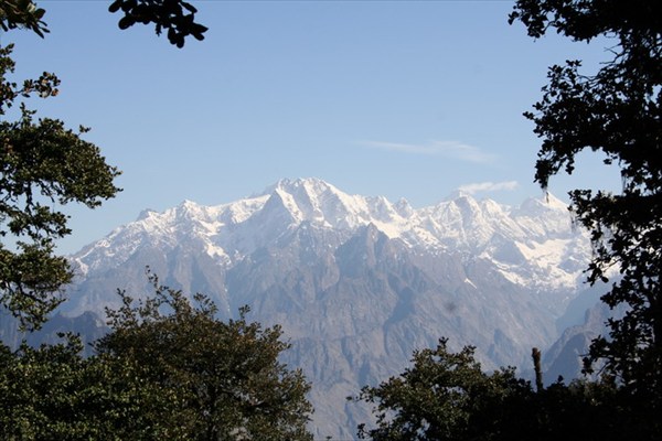 окно в лесу с видом на Гималаи 