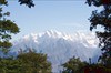 на фото: окно в лесу с видом на Гималаи 