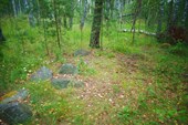 DSC00973