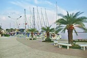 IMG_0276