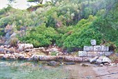 IMG_0355