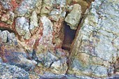 IMG_8633